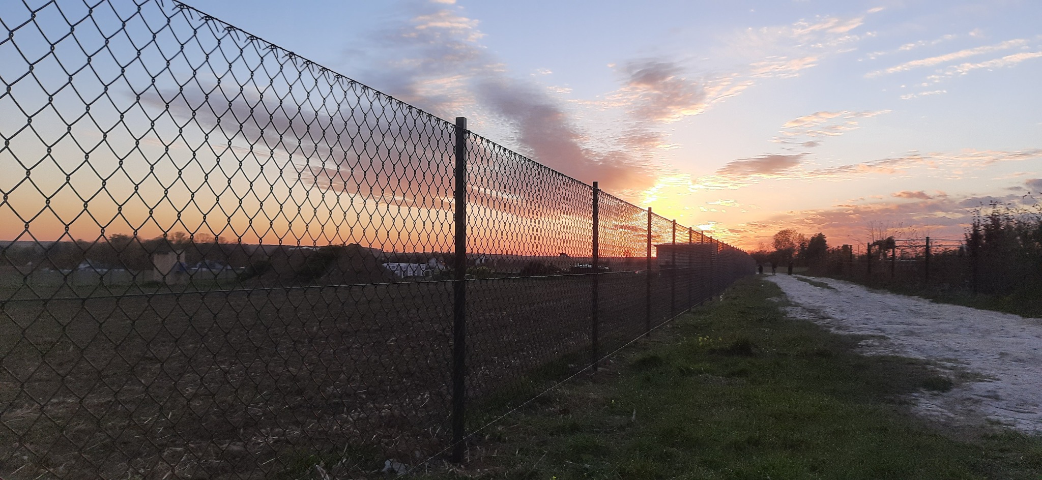 Długi, ciemny płot z siatki w perspektywie, oddzielający pole od polnej drogi, na tle zachodzącego słońca i częściowo pochmurnego nieba.