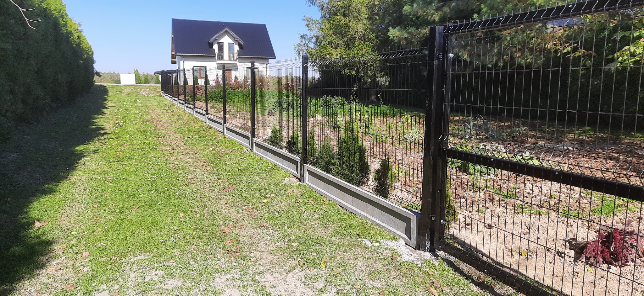 Nowoczesne ogrodzenie panelowe z podmurówką betonową, oddzielające posesję z domem jednorodzinnym od drogi, z młodymi tujami posadzonymi wzdłuż ogrodzenia.