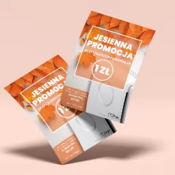 Dwa ulotki reklamowe z jesienną promocją oczyszczacza powietrza, z motywem pomarańczowych liści, informujące o ofercie specjalnej przy zakupach powyżej 4500 zł.