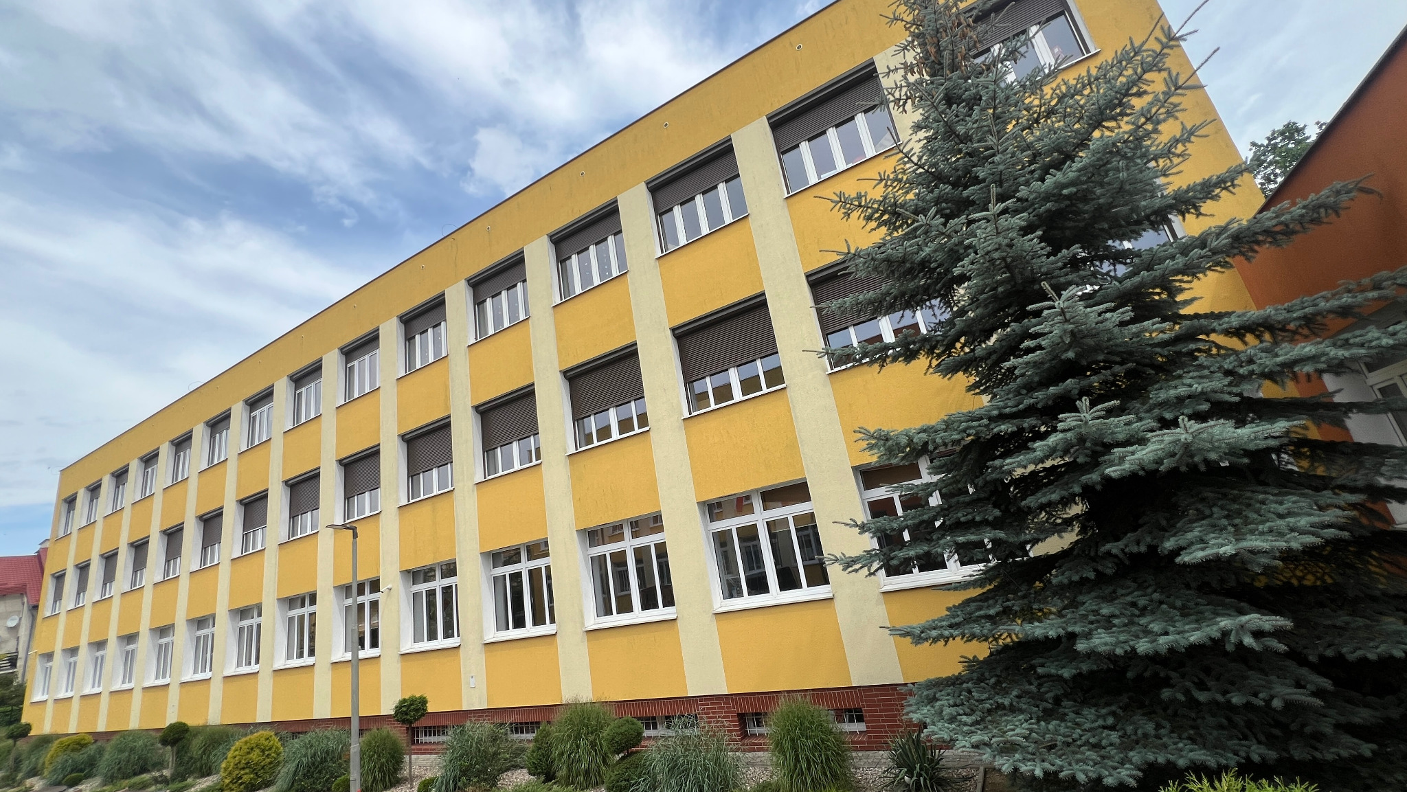 Żółty budynek wielopiętrowy z białymi oknami i brązowymi roletami zewnętrznymi, częściowo zasłonięty przez dużą, gęstą choinkę z niebieskawym odcieniem igieł, widziany z dołu pod kątem.