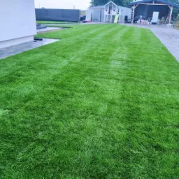 Równy, zielony trawnik przylegający do domu z kostką brukową, w tle domek dla dzieci i wiata garażowa.