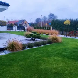 Starannie zaprojektowany ogród przydomowy z trawnikiem, ozdobnymi trawami, formowaną sosną na żwirowym podłożu i świeżo ułożoną, mokrą kostką brukową w tle.