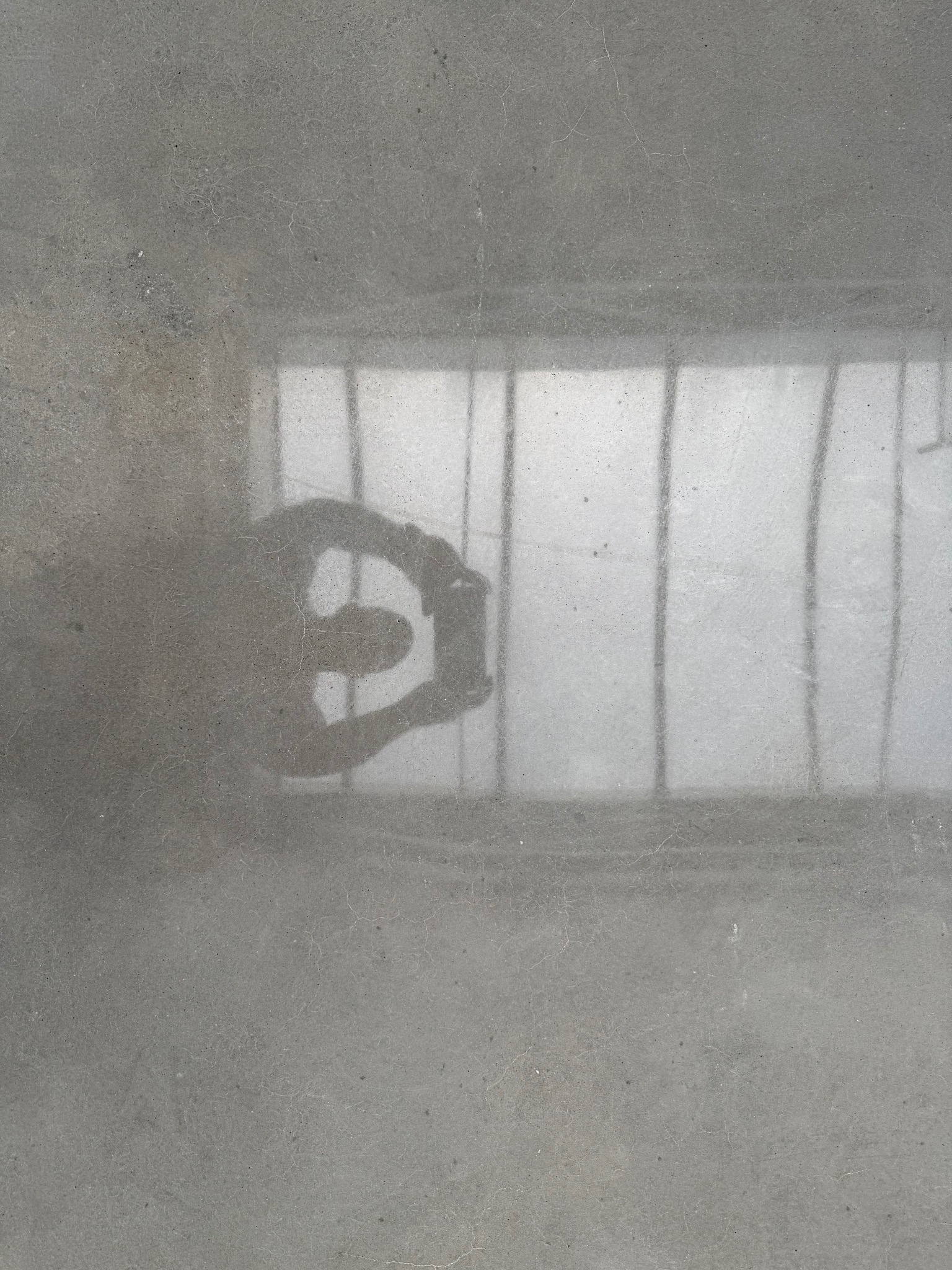 Szara, gładka posadzka z refleksami światła i cieniem osoby robiącej zdjęcie, widoczne delikatne wzory i tekstura betonu. Minimalistyczny efekt wizualny.