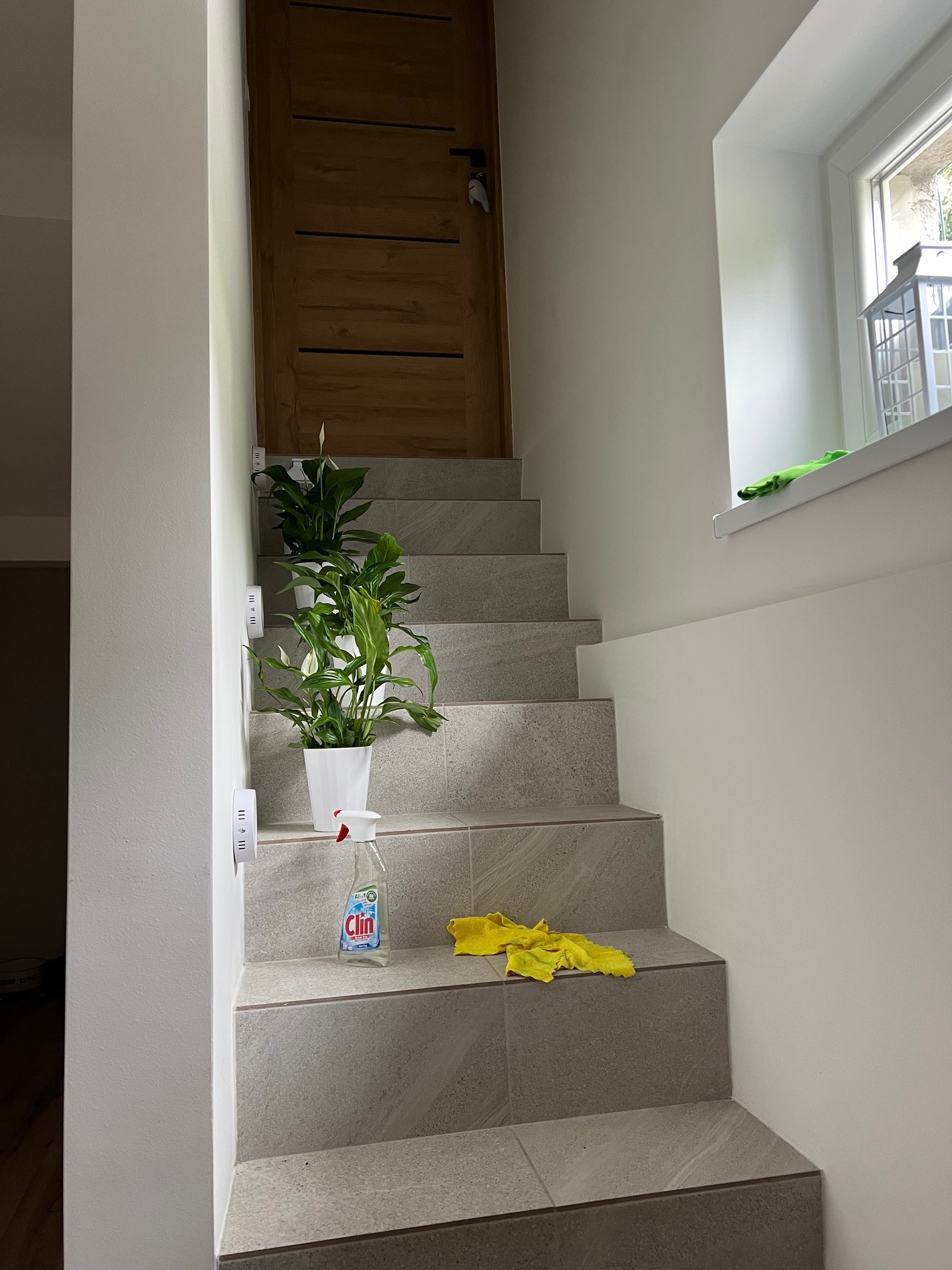 Klatka schodowa wykończona płytkami ceramicznymi w odcieniach szarości. Na schodach rośliny doniczkowe, płyn do czyszczenia i ściereczka. Widoczne wykończenie okna.