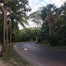 Igor szpica - Usługi Malarskie Białystok