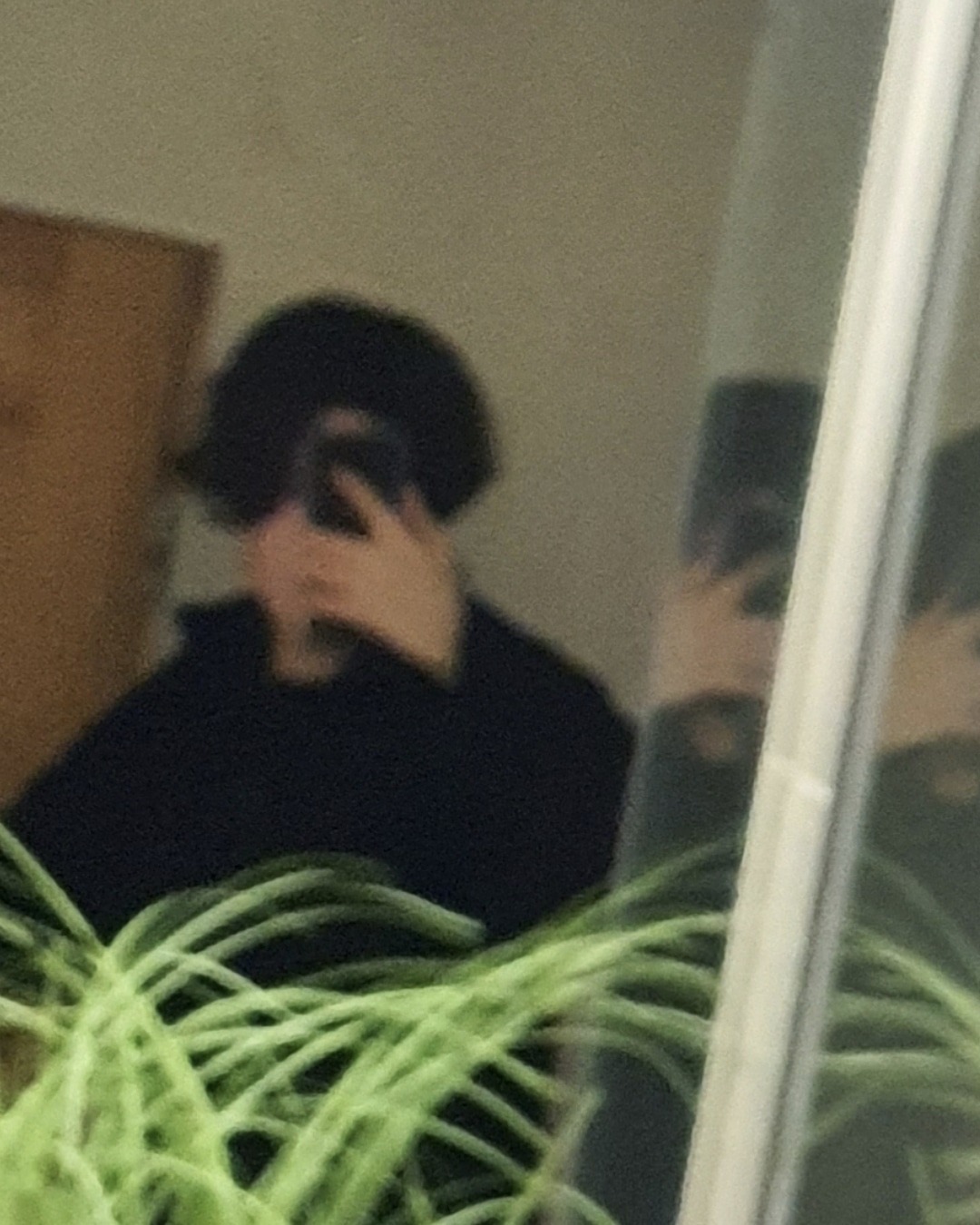 Rozmazane odbicie osoby w lustrze, trzymającej telefon, z widoczną zieloną rośliną doniczkową na pierwszym planie.