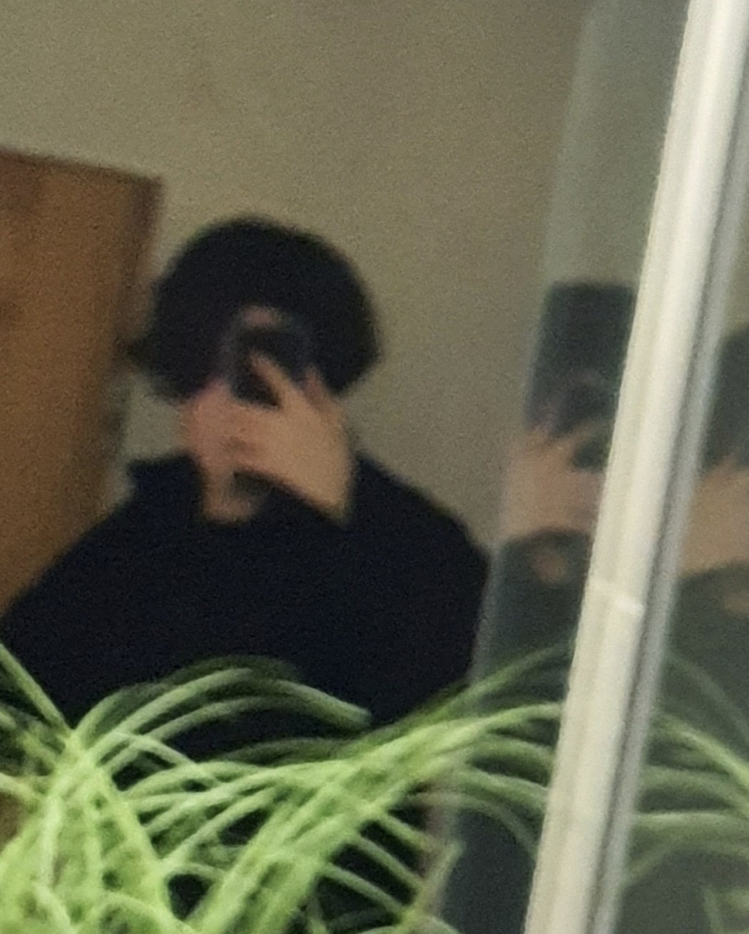 Niejasne odbicie osoby robiącej zdjęcie w lustrze, z rośliną doniczkową w dolnej części kadru, prawdopodobnie w Białymstoku.