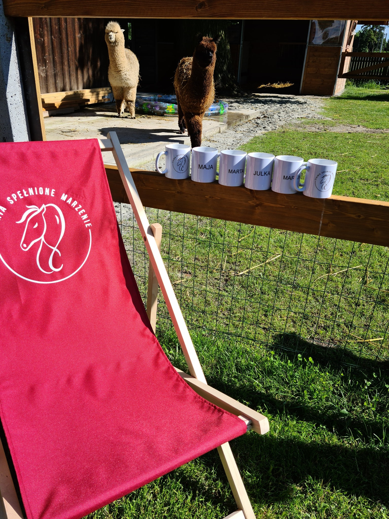 Leżak z logo firmy oraz rząd białych kubków z imionami na drewnianym płocie, w tle alpaki w zagrodzie.