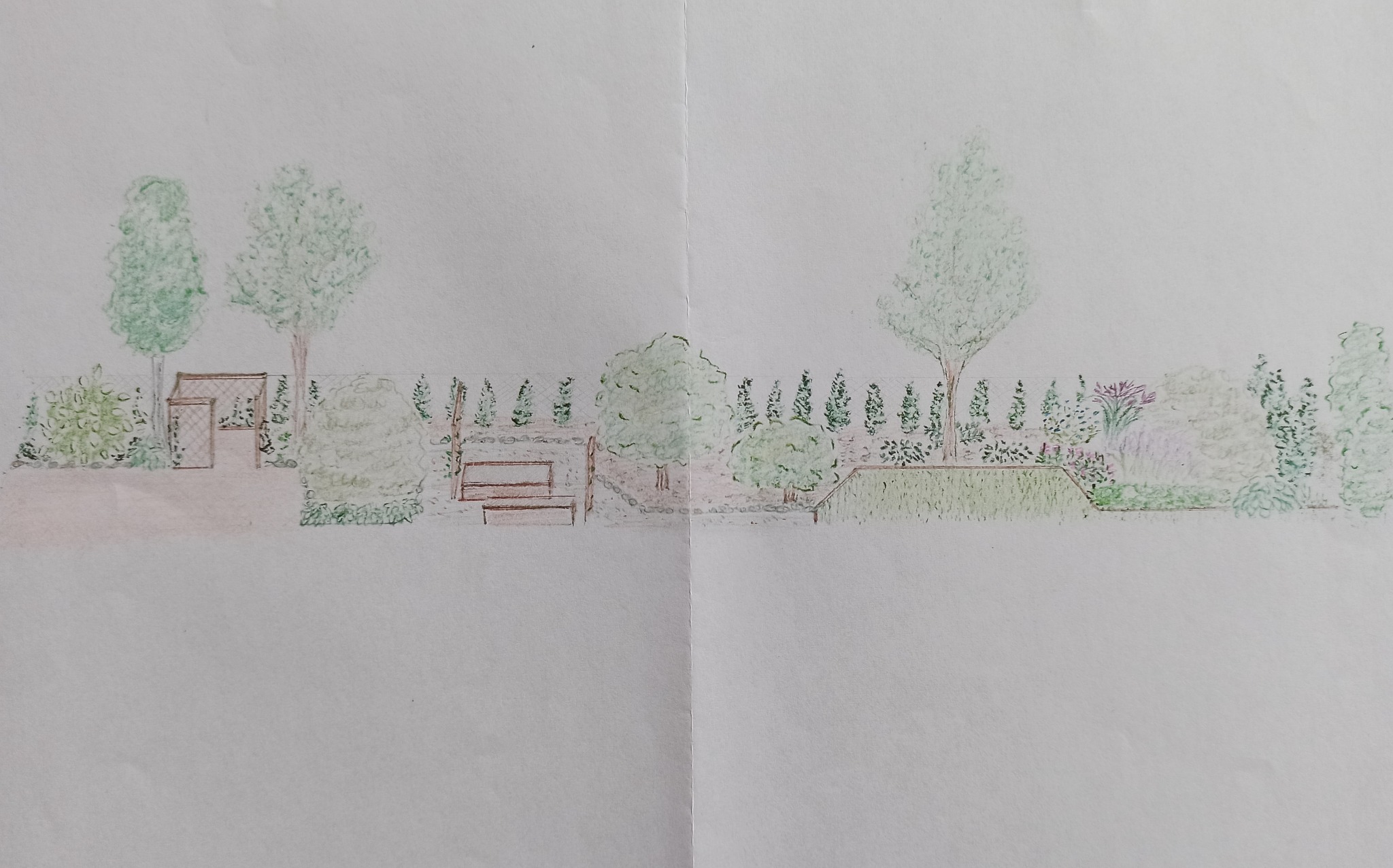 Szkic koncepcyjny ogrodu z pergolą, drzewami i rabatami kwiatowymi, wykonany kredkami na białym papierze.