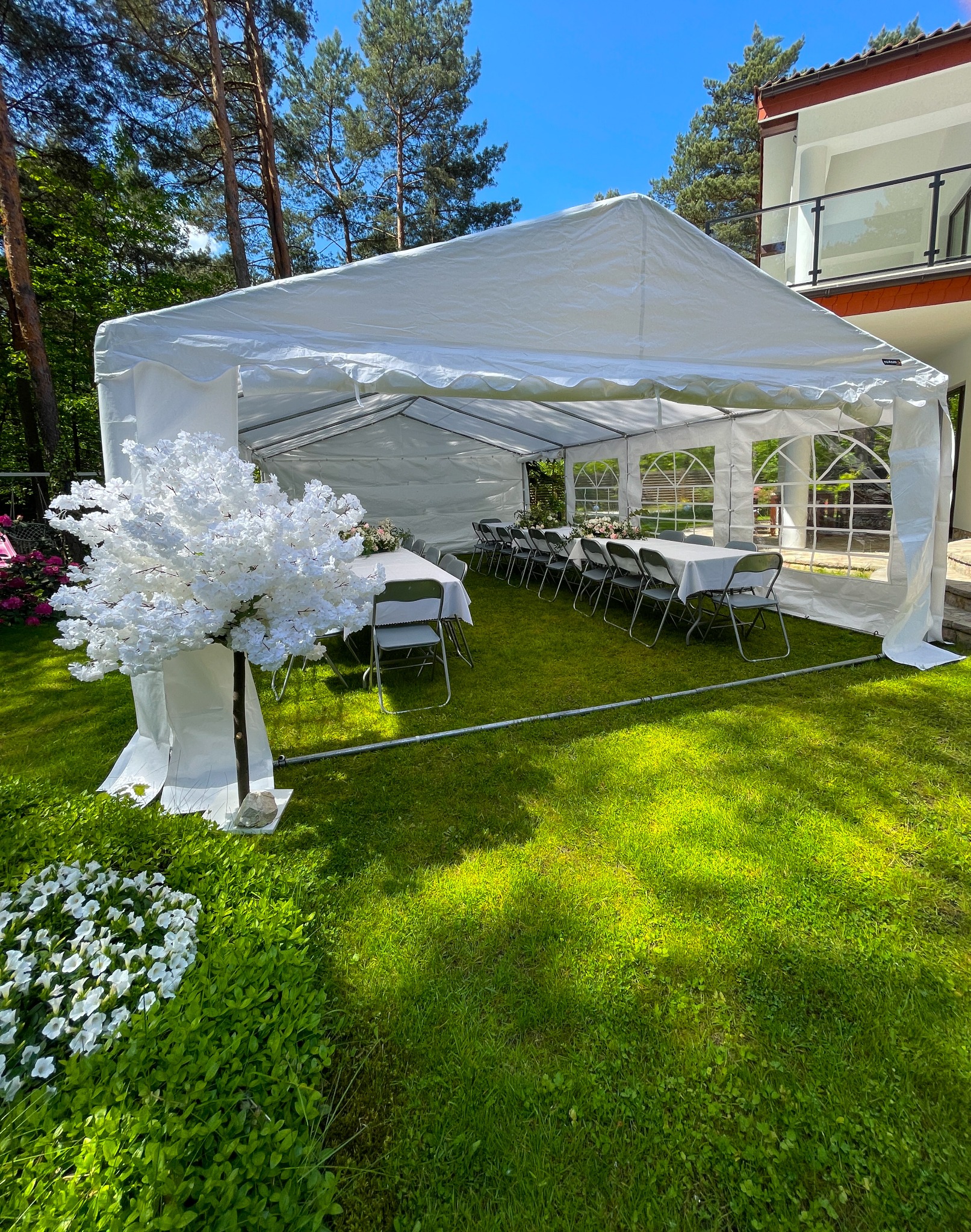 Biały namiot bankietowy z wyposażeniem na przyjęcie w ogrodzie, Częstochowa. Dekoracyjne drzewko z białymi kwiatami przy wejściu.