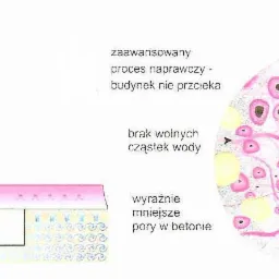 Osuszanie i Uszczelnianie Przemakających Murów Nowa Technologia, 10 Lat Gwarancji
