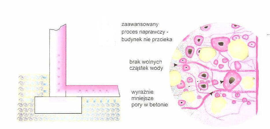 Osuszanie i Uszczelnianie Przemakających Murów Nowa Technologia, 10 Lat Gwarancji