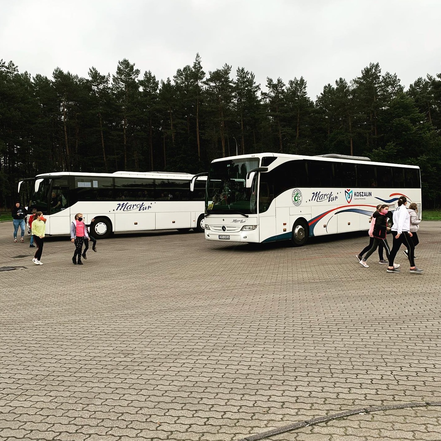 Mercedes Tourismo oraz Setra S415 GT - wycieczka do ZOO w Gdańsku - Oliwie