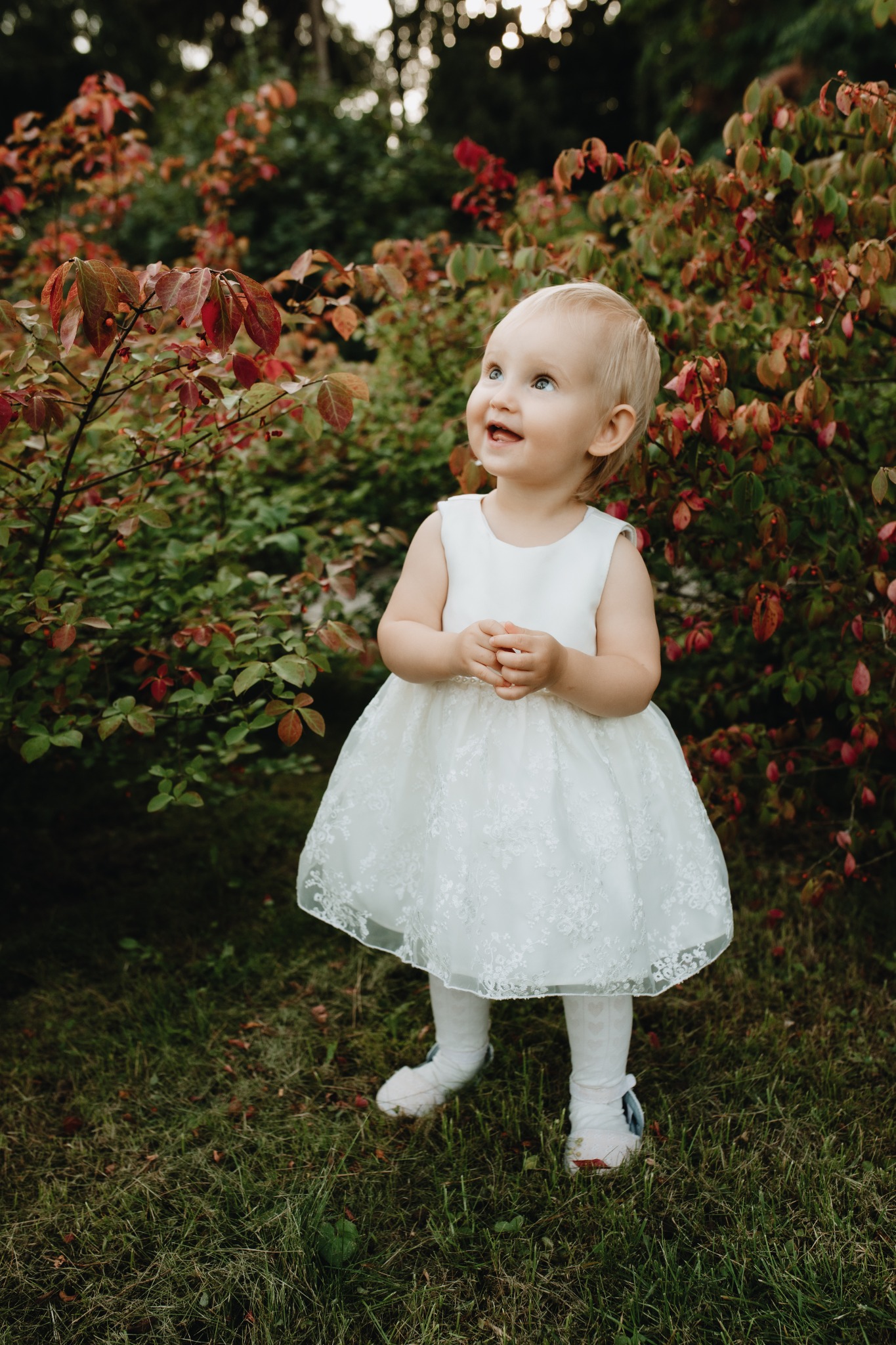 Uśmiechnięta dziewczynka w białej sukience i rajstopach w serduszka stoi na trawie przed krzewem z czerwonymi liśćmi, spoglądając w górę.