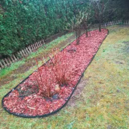 Rabata z kory drzewnej otoczona czarnym obrzeżem, z młodymi krzewami i drzewkami, na tle zielonego trawnika i żywopłotu z tui.