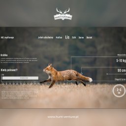 Projekt strony internetowej www.hunt-venture.pl  < Zajrzyj i sprawdź zrealizowany projekt