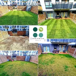 Kolaż zdjęć przedstawiający transformację trawnika: od przygotowanej ziemi po świeżo skoszony, zielony dywan w ogrodzie otoczonym drewnianym płotem i budynkami mieszkalnymi, z widocznym logo firmy...