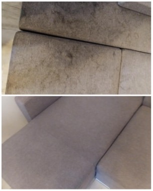 Ulubione miejsce odpoczynku pieska jest teraz czyste i wolne od bakterii i roztoczy