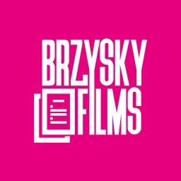 Brzysky Company Limited - Logo Firmy Rzeszów