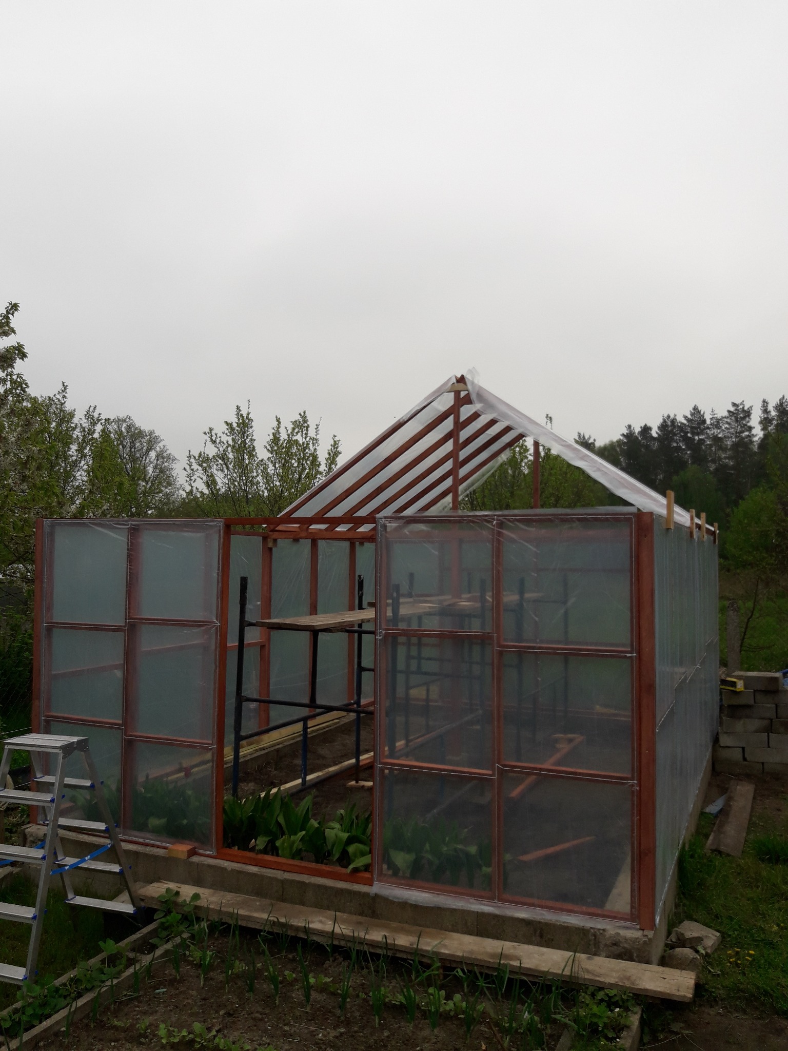 Konstrukcja szklarni z drewnianą ramą i częściowo zamontowaną folią, widoczne rośliny wewnątrz, drabina oparta o bok konstrukcji.