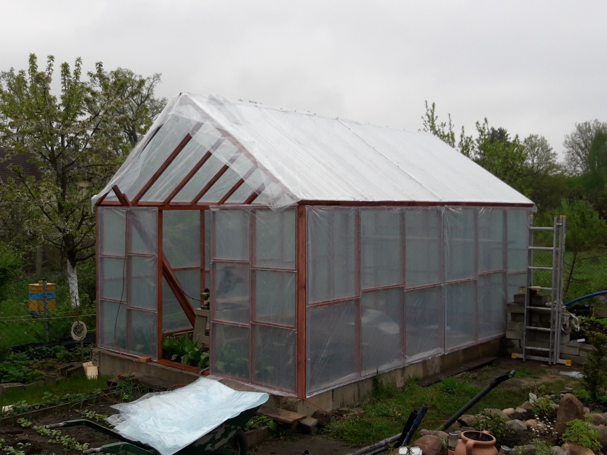 Szklarnia z drewnianą ramą i przezroczystym pokryciem foliowym w ogrodzie, widoczna drabina oparta o ścianę, w tle drzewa i pochmurne niebo.