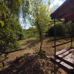 Po koszeniu trawy: widok na ogród z fragmentem zadaszonej werandy, w tle drzewa i krzewy, na pierwszym planie kosa spalinowa.