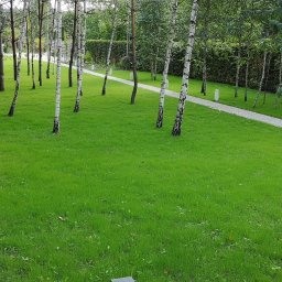Projektowanie ogrodów Łódź 6