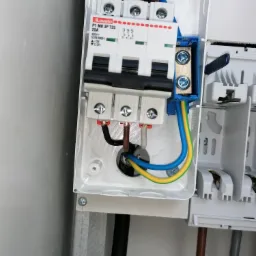 Erbetka wpieta w przyłącze elektryczne.