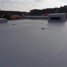 Szary płaski dach pokryty papą termozgrzewalną z dwoma kominami wentylacyjnymi na tle zabudowy jednorodzinnej i lasu.