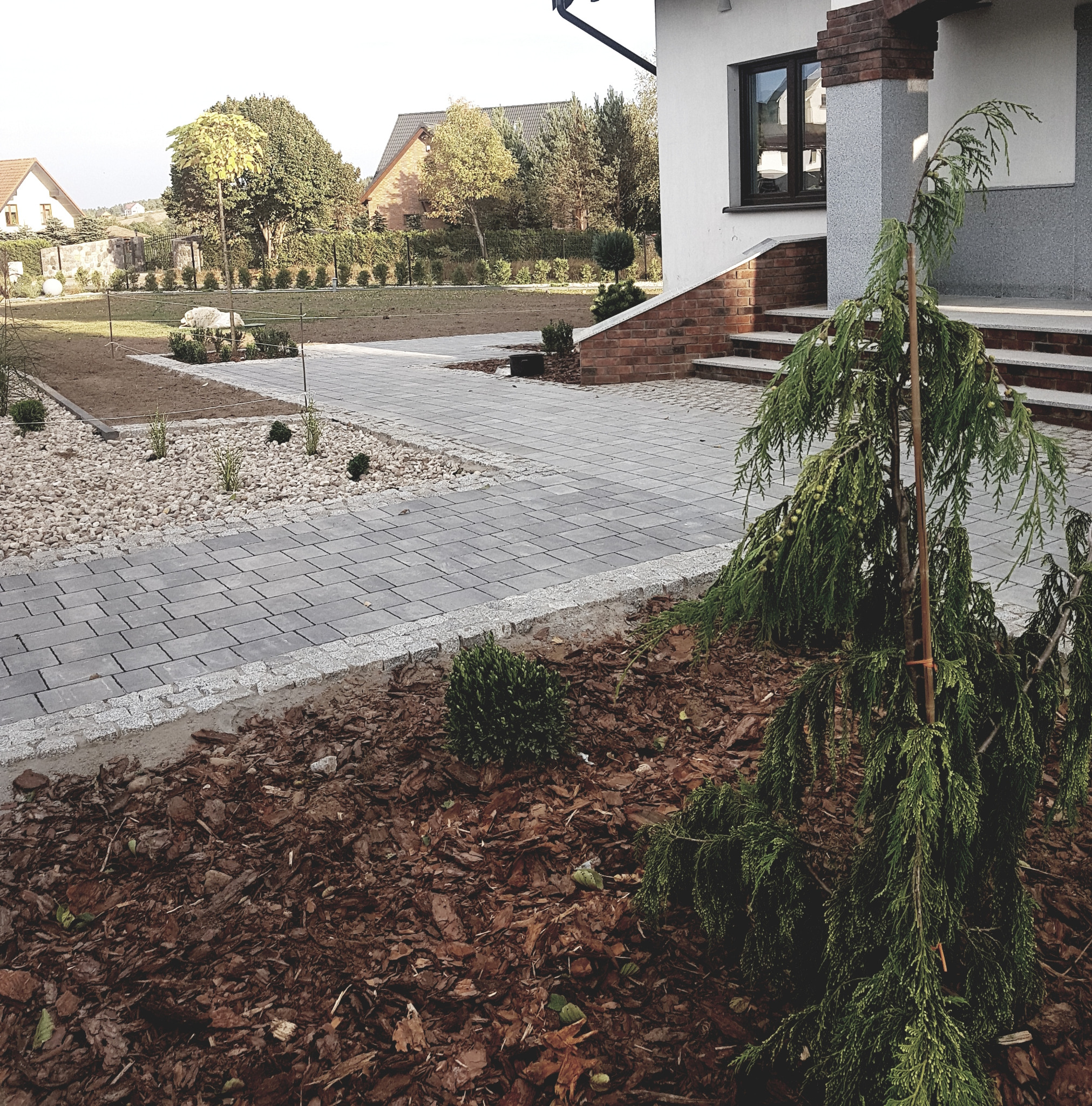 Szary chodnik z kostki brukowej prowadzący do domu, rabata z korą i iglakiem na pierwszym planie, w tle zadbany trawnik i zabudowa jednorodzinna.
