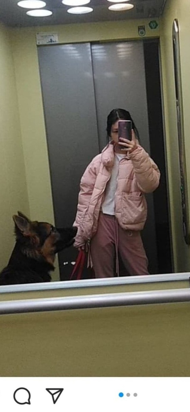 Odbicie w lustrze windy: młoda kobieta w różowej kurtce robi selfie z owczarkiem niemieckim, który trzyma smycz w pysku.