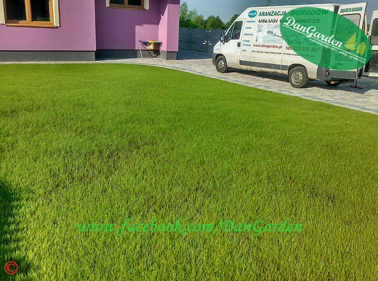 Zadbany trawnik przed fioletowym domem, z kostką brukową i zaparkowanym busem firmy ogrodniczej DanGarden. Widoczny adres strony internetowej.