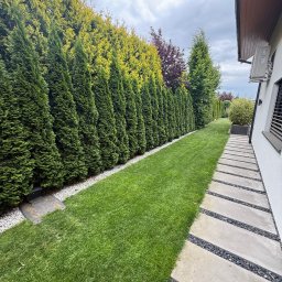 MM GROUP SPÓŁKA Z OGRANICZONĄ ODPOWIEDZIALNOŚCIĄ - Zadbany ogród: równo przystrzyżony trawnik, rząd gęstych tuj wzdłuż ogrodzenia, kamienna ścieżka z czarnym żwirem. Estetyczny krajobraz.