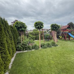 MM GROUP SPÓŁKA Z OGRANICZONĄ ODPOWIEDZIALNOŚCIĄ - Zadbany ogród z równo przystrzyżonym trawnikiem, kulistymi drzewami i placem zabaw w tle. Widoczne tuje i obrzeża z białych kamieni.