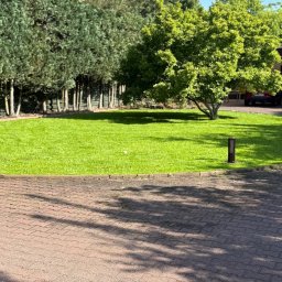 MM GROUP SPÓŁKA Z OGRANICZONĄ ODPOWIEDZIALNOŚCIĄ - Zadbany trawnik z drzewami w tle, widziany z perspektywy brukowanej ścieżki. Oświetlenie słoneczne tworzy cienie na kostce brukowej.