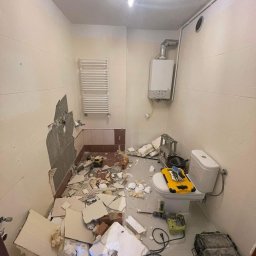 Pielęgnacja ogrodów Plewiska 1