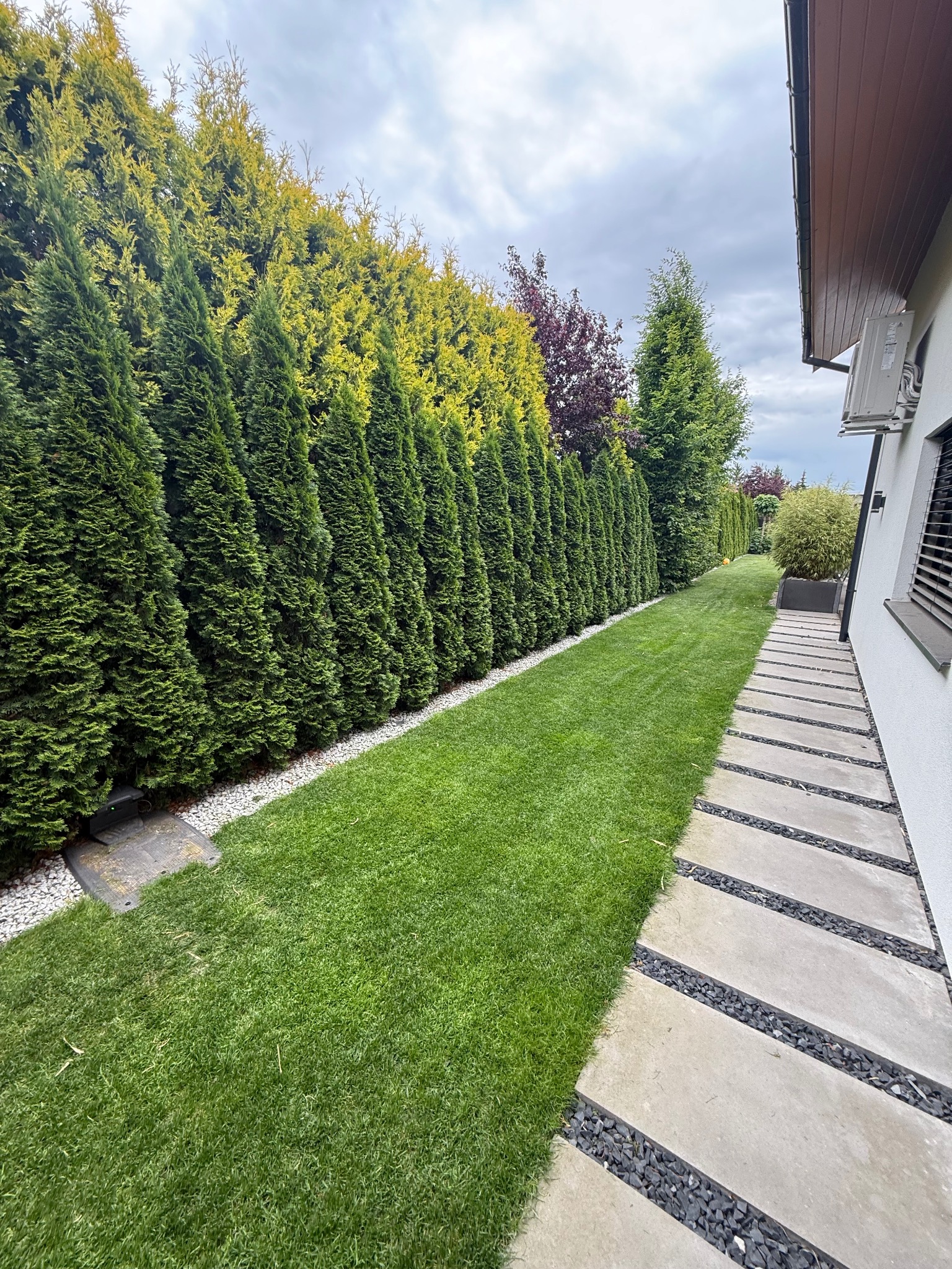 Zadbany ogród: równo przystrzyżony trawnik, rząd gęstych tuj wzdłuż ogrodzenia, kamienna ścieżka z czarnym żwirem. Estetyczny krajobraz.