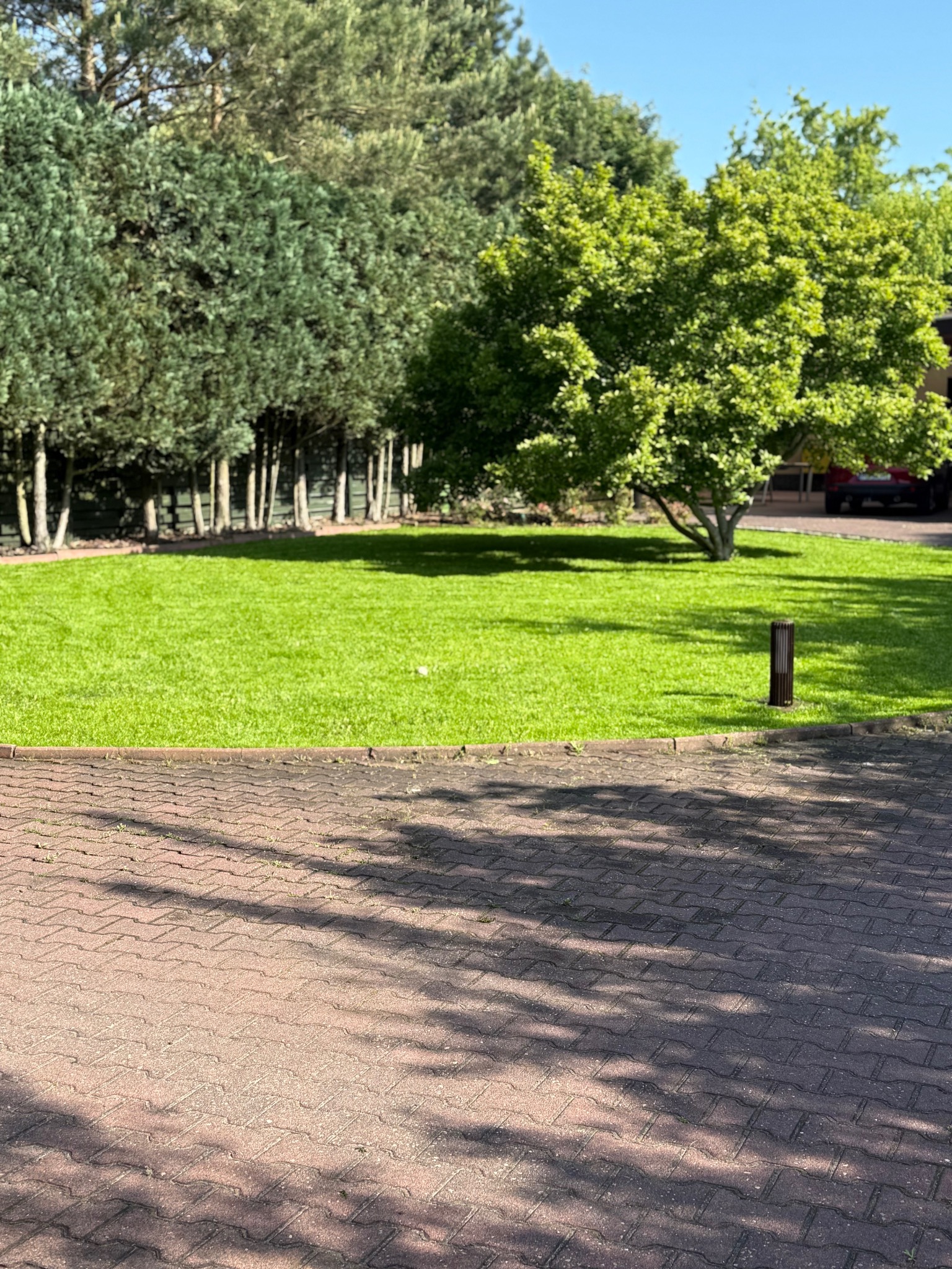 Zadbany trawnik z drzewami w tle, widziany z perspektywy brukowanej ścieżki. Oświetlenie słoneczne tworzy cienie na kostce brukowej.