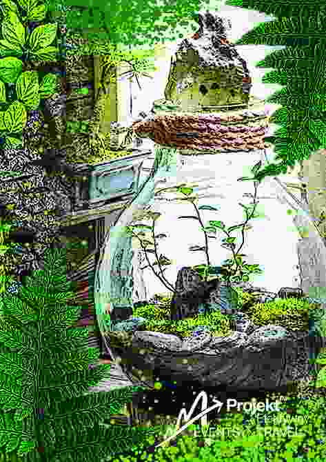 Szklany słój z miniaturowym lasem w środku, otoczony zielenią, na górze słoju kamień, w tle regał z zielenią, w prawym dolnym rogu logo firmy.