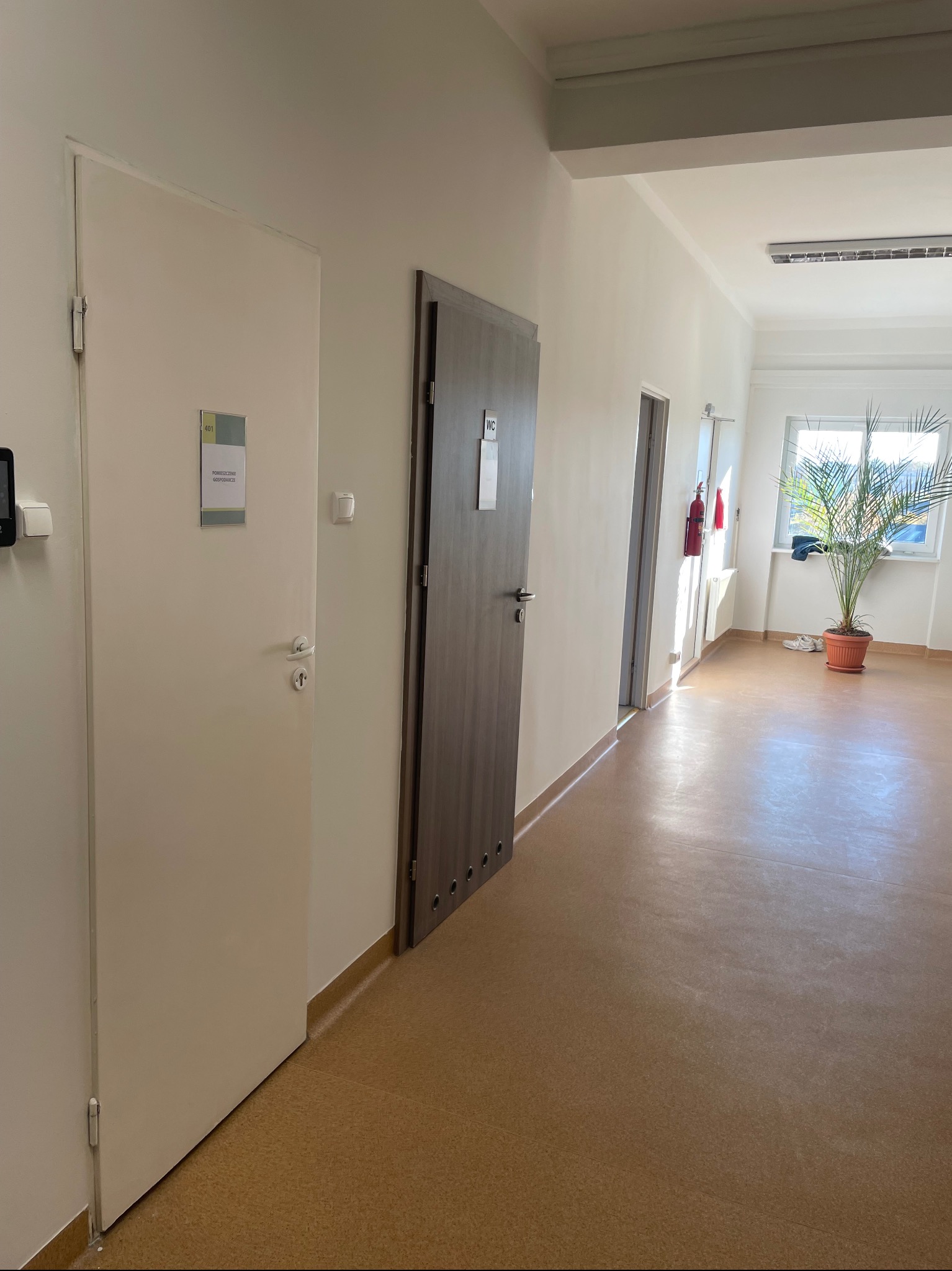 Korytarz biurowy z dwiema parami drzwi, pomalowanymi na biało ścianami i brązową podłogą. W oddali widoczne okno z rośliną doniczkową. Oświetlenie sufitowe.
