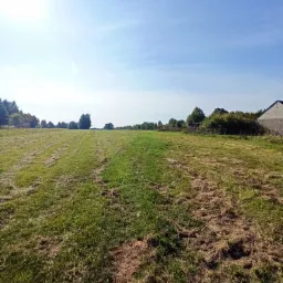 Szeroki kadr na pole skoszonej trawy z widocznymi śladami po kosiarce, w tle drzewa i fragment budynku w słoneczny dzień.