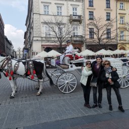 Przewóz osób Kraków 10