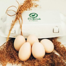 Prawdziwe jajka wiejskie od kur z wolnego wybiegu karmionych tylko paszami własnej produkcji z własnych pól.