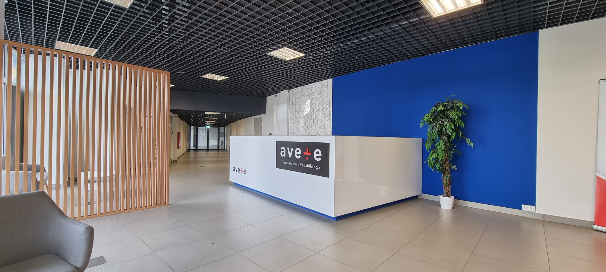 Nowoczesne wnętrze biurowe z recepcją, drewnianą ażurową ścianką, niebieską ścianą i rośliną doniczkową. Widoczny sufit podwieszany z kratką i oświetleniem.