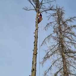 TreeCare Wycinka i Pielęgnacja Drzew Piotr Skibiński - Prace działkowe Rzeszów