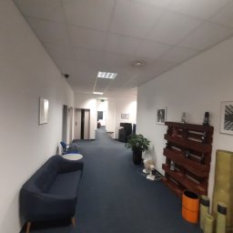 malowanieSMART - Korytarz biurowy z niebieską sofą, rośliną w doniczce, drewnianą półką z dekoracjami i ozdobnymi tubami przy ścianie.