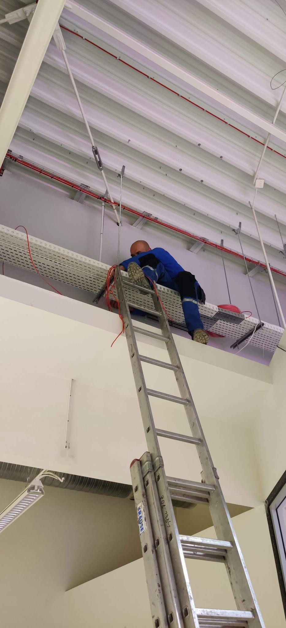 Elektryk w niebieskim kombinezonie i kasku, stojący na aluminiowej drabinie marki Krause, pracuje przy montażu czerwonych kabli w perforowanej korycie kablowym pod sufitem w hali przemysłowej.