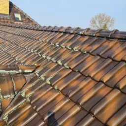 Czysty dach to wizytówka domu..