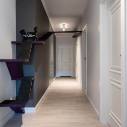 Profi Domo - Długi korytarz z jasną podłogą i szarą ścianą, na której zamontowano fioletowe półki dla kota z czarnym dywanikiem i napisem 'All Guests Must Be Approved by The Cat'.