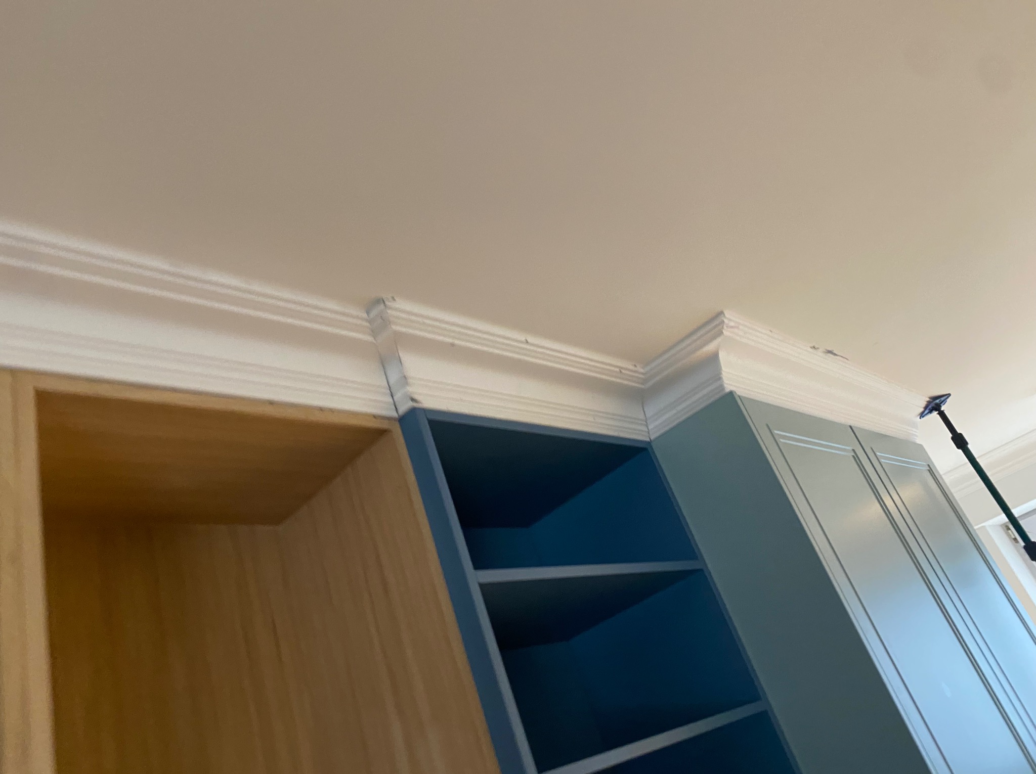 Półki w zabudowie, część otwarta z jasnego drewna, część zamknięta i otwarta pomalowana na niebiesko, biały sufit z dekoracyjnym gzymsem.